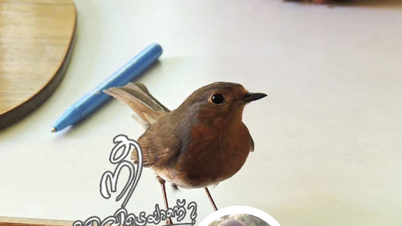 അതെ, നീയൊരു പച്ച മനുഷ്യനായിരുന്നു, ആദില്! അതെ, നീയൊരു പച്ച മനുഷ്യനായിരുന്നു, ആദില്!