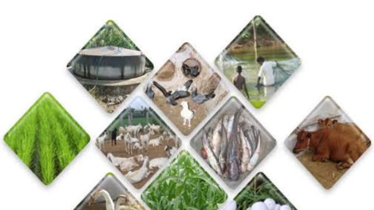 ஒருங்கிணைந்த பண்ணையத்தின் செயல்முறை மற்றும் பயன்கள் இதோ.. ஒருங்கிணைந்த பண்ணையத்தின் செயல்முறை மற்றும் பயன்கள் இதோ..