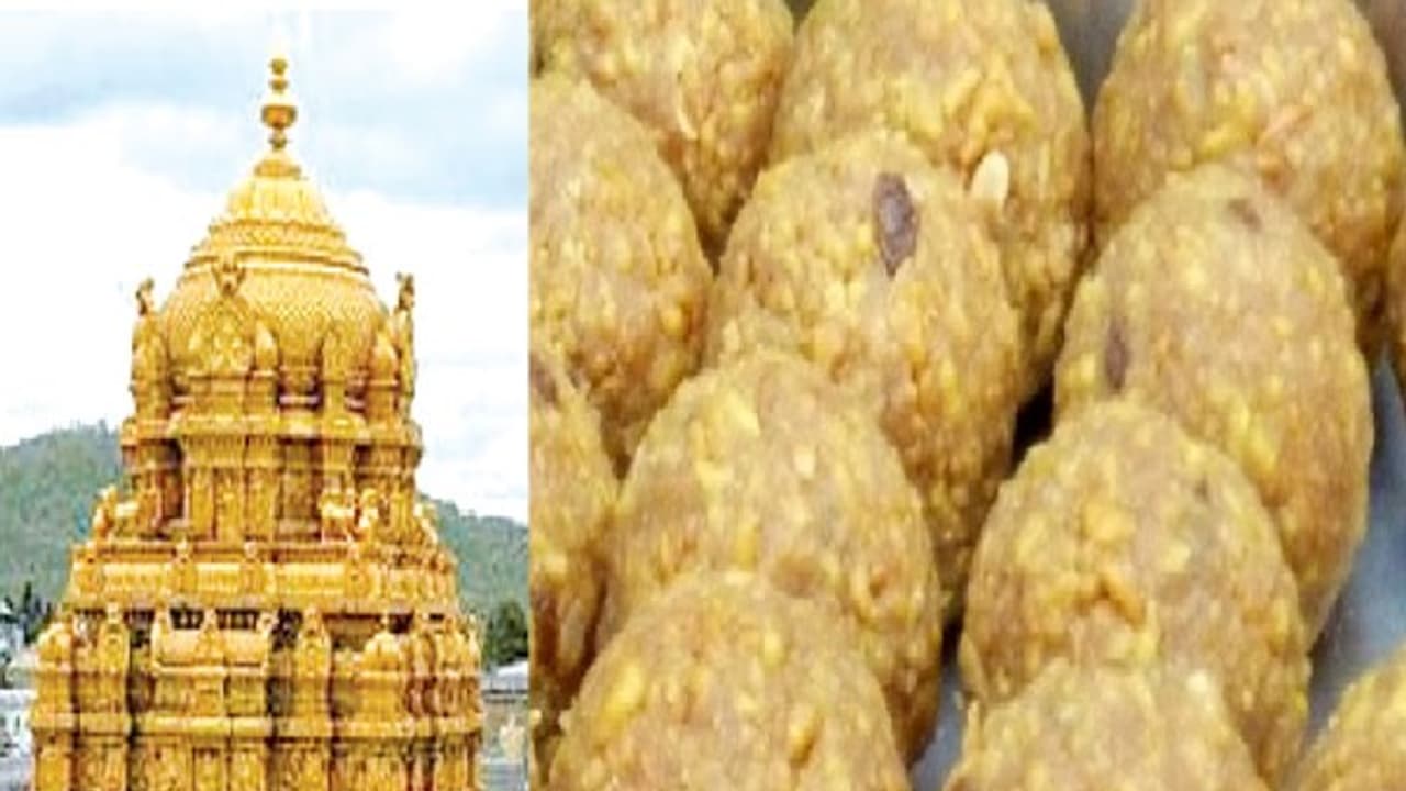 இதுல கூட சிபாரிசு செஞ்சா இப்படித்தான்...! 'சிறப்பு பக்தர்களை' அதிரவைத்த திருப்பதி தேவஸ்தானம்...! இதுல கூட சிபாரிசு செஞ்சா இப்படித்தான்...! 'சிறப்பு பக்தர்களை' அதிரவைத்த திருப்பதி தேவஸ்தானம்...!