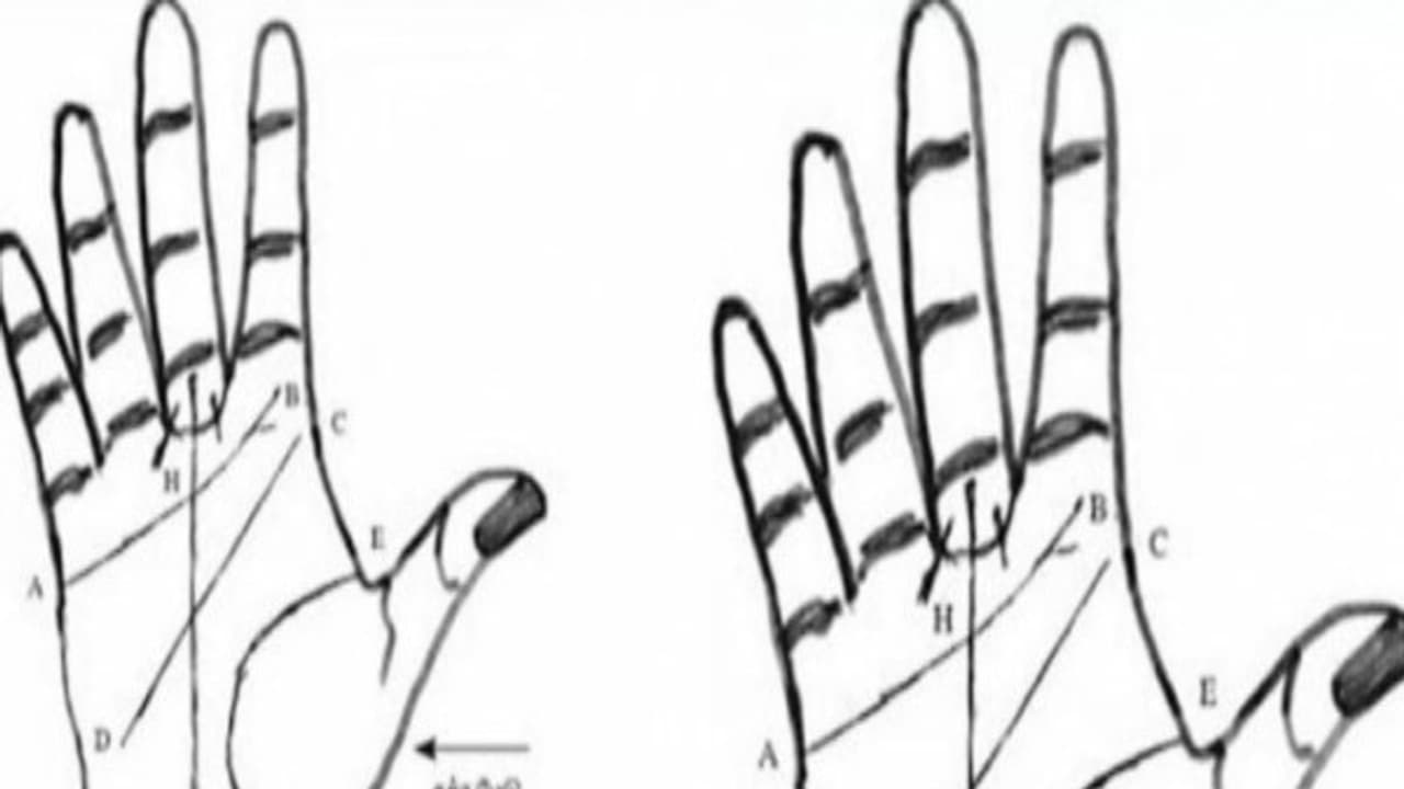 கோடீஸ்வர யோகம் கொண்டவரா நீங்கள்...? உங்கள் கையில் இப்படி இருக்கான்னு பாருங்க..! கோடீஸ்வர யோகம் கொண்டவரா நீங்கள்...? உங்கள் கையில் இப்படி இருக்கான்னு பாருங்க..!