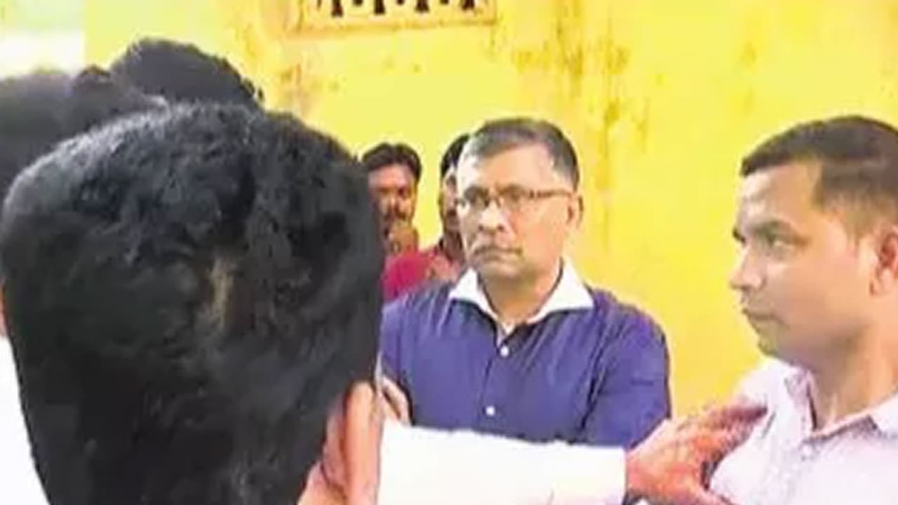 బోండా ఉమ వాట్సాప్ సాక్షిగా చెప్పేశాడు బోండా ఉమ వాట్సాప్ సాక్షిగా చెప్పేశాడు