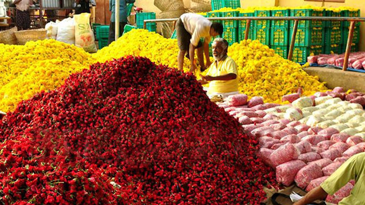 Vegetables, flowers prices crash from Rs 100 to Rs 20