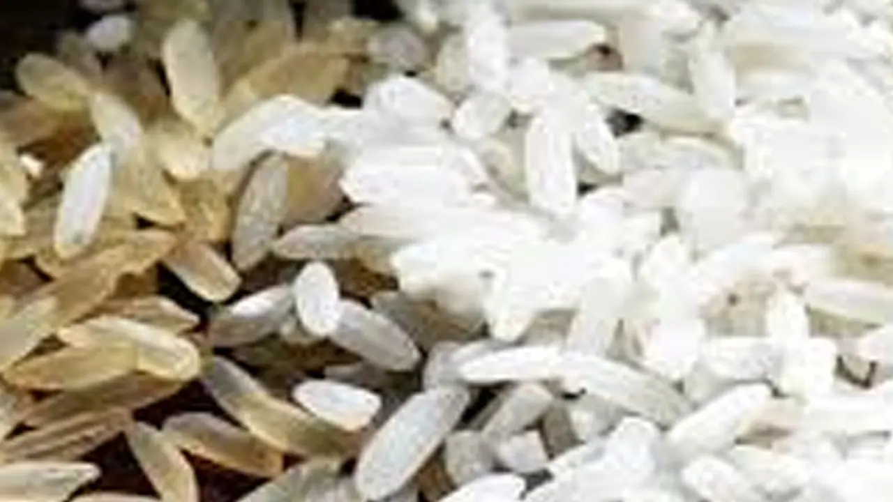 ಪ್ಲಾಸ್ಟಿಕ್ ಅಕ್ಕಿಯನ್ನು ಗುರುತಿಸುವುದು ಹೇಗೆ? ಇಲ್ಲಿವೆ 5 ಸರಳ ವಿಧಾನಗಳು