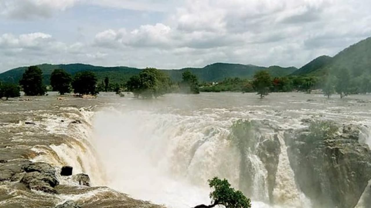 ஒகேனக்கல்லில் குளிக்கவும், பரிசல் இயக்கவும் 3 வது நாளாக தடை... பரவலான மழையால் பாதுகாப்பு நடவடிக்கை... ஒகேனக்கல்லில் குளிக்கவும், பரிசல் இயக்கவும் 3 வது நாளாக தடை... பரவலான மழையால் பாதுகாப்பு நடவடிக்கை...