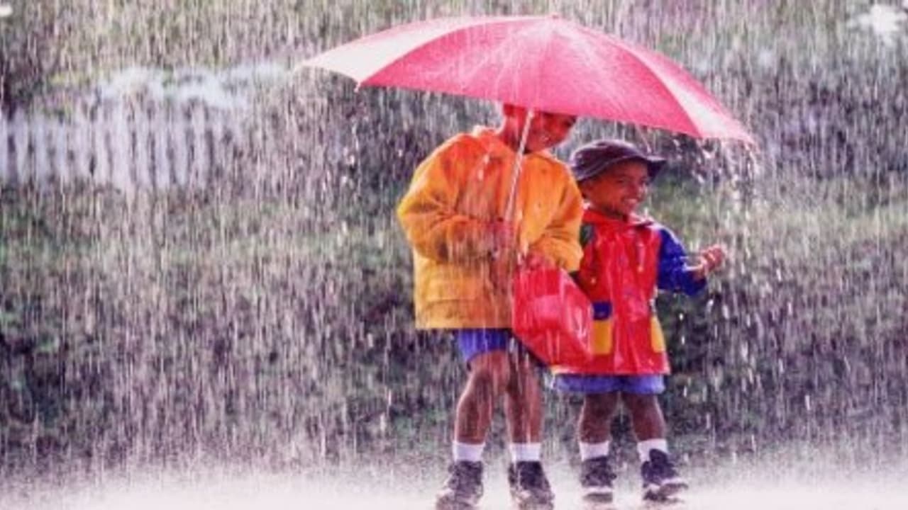 வருது மழை காலம் நோய்களை தடுப்பது எப்படி? வருது மழை காலம் நோய்களை தடுப்பது எப்படி?