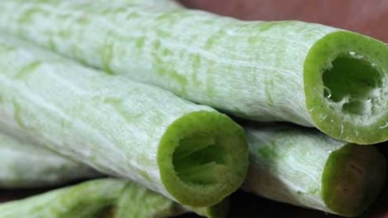 நீங்க நினைச்சு பார்க்காத அளவுக்கு இந்த காயில் மருத்துவ குணங்கள் இருக்கு… நீங்க நினைச்சு பார்க்காத அளவுக்கு இந்த காயில் மருத்துவ குணங்கள் இருக்கு…