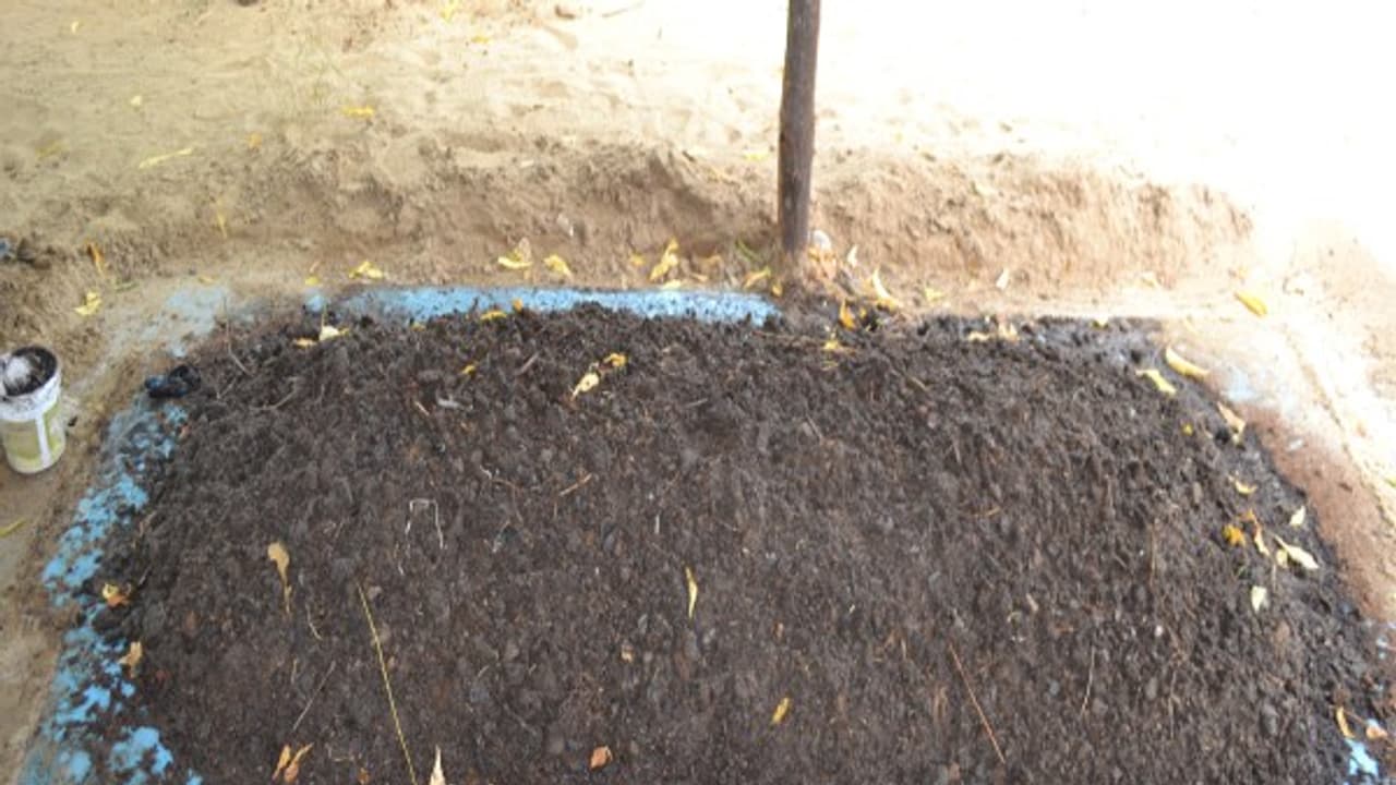 மண்புழு உரத்தில் இவ்வளவு பயிர்ச் சத்துக்கள் அடங்கியுள்ளன... மண்புழு உரத்தில் இவ்வளவு பயிர்ச் சத்துக்கள் அடங்கியுள்ளன...