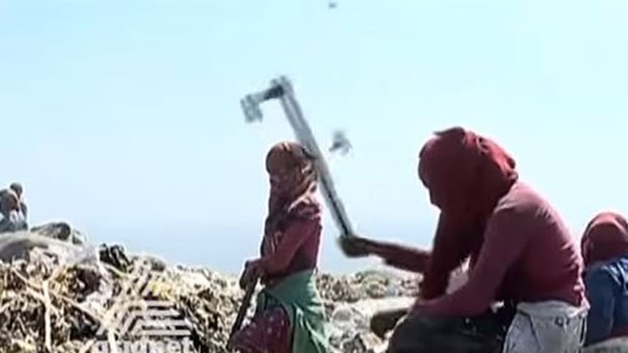 മാലിന്യകുന്നിലെ സ്ത്രീകളുടെ ദുരിത ജീവിതം മാലിന്യകുന്നിലെ സ്ത്രീകളുടെ ദുരിത ജീവിതം