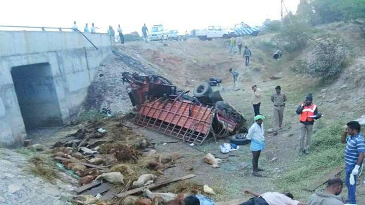 గొర్రెలు తరలిస్తున్న డీసీఎం బోల్తా, ముగ్గురు మృతి గొర్రెలు తరలిస్తున్న డీసీఎం బోల్తా, ముగ్గురు మృతి