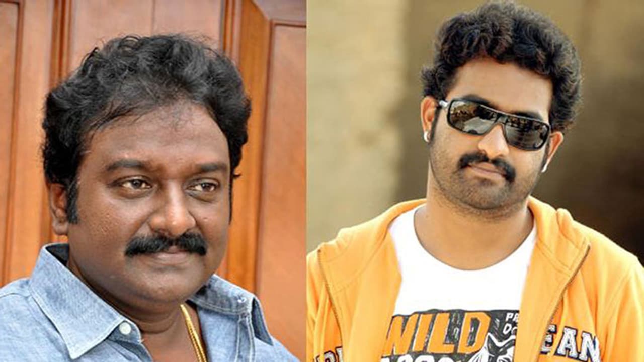 ఎన్టీఆర్ ఫ్యాన్స్ కు గుడ్ న్యూస్ చెప్పిన వినాయక్ ఎన్టీఆర్ ఫ్యాన్స్ కు గుడ్ న్యూస్ చెప్పిన వినాయక్