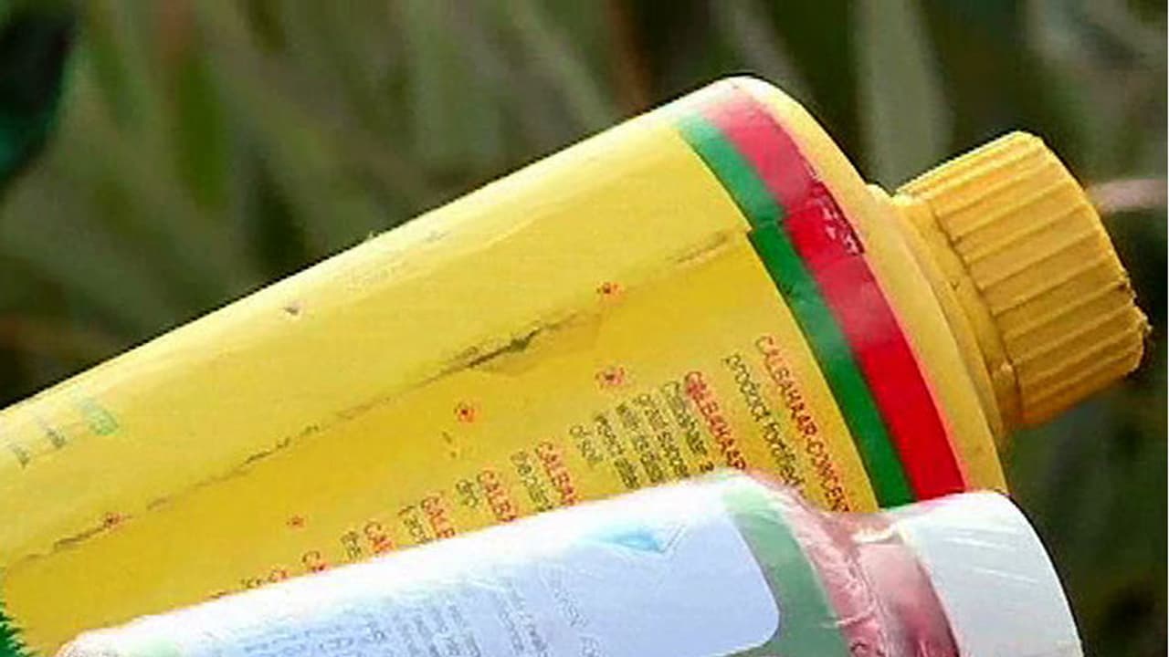 Groom uses pesticide to end his life Groom uses pesticide to end his life