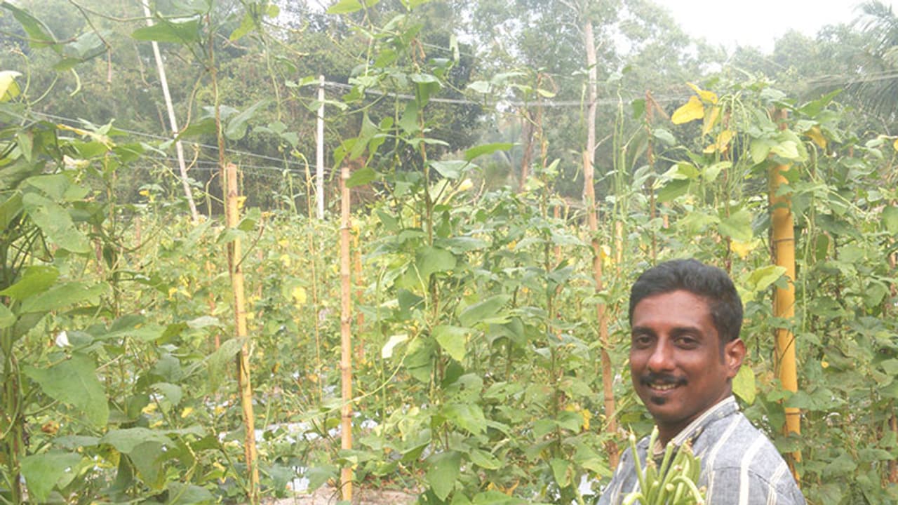 കൃഷിയില് വ്യത്യസ്ത പരീഷണങ്ങളുമായി യുവകർഷകൻ നിഷാദ് കൃഷിയില് വ്യത്യസ്ത പരീഷണങ്ങളുമായി യുവകർഷകൻ നിഷാദ്