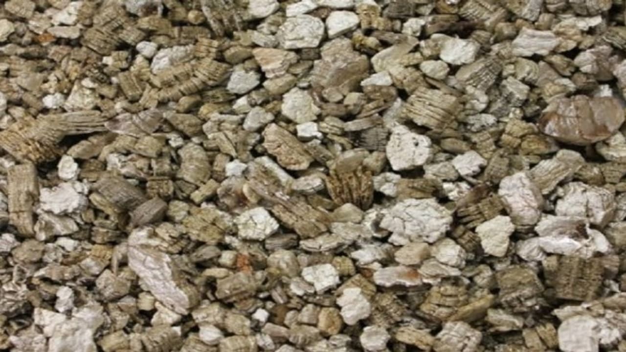 விவசாயத்தில் முழு பலனை அனுபவிக்க “வெர்மிகுலைட்டை” பயன்படுத்துங்க… விவசாயத்தில் முழு பலனை அனுபவிக்க “வெர்மிகுலைட்டை” பயன்படுத்துங்க…