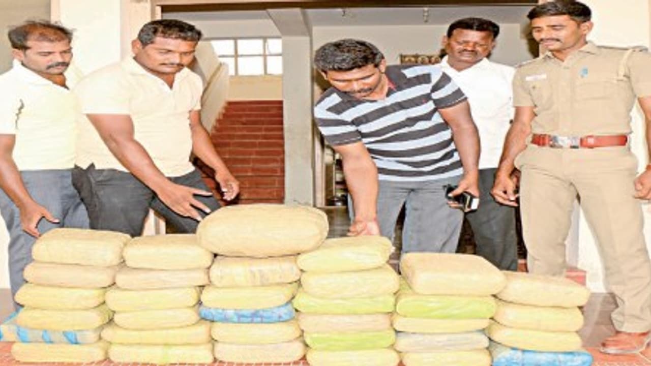 காரில் 70 லட்சம் மதிப்புள்ள கஞ்சா, கடல் அட்டை கடத்தல்; கடத்தியவர்கள் தப்பியோட்டம்… காரில் 70 லட்சம் மதிப்புள்ள கஞ்சா, கடல் அட்டை கடத்தல்; கடத்தியவர்கள் தப்பியோட்டம்…