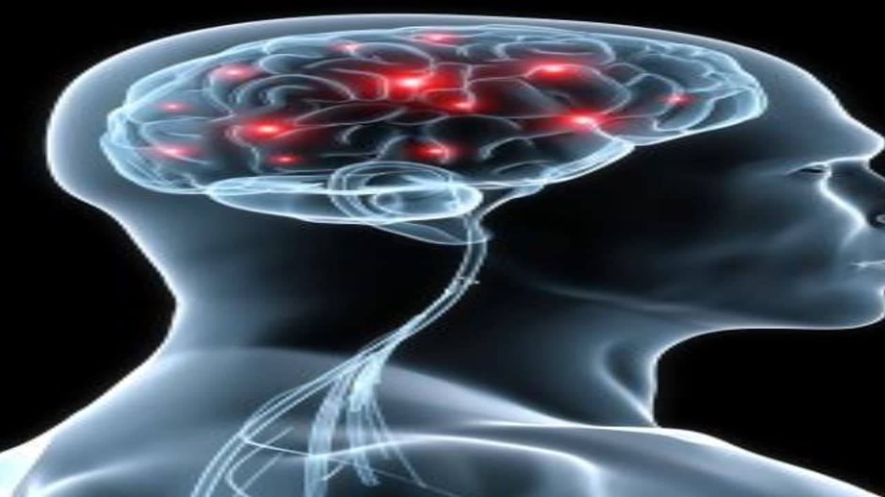 மூளைப் புற்றுநோய் இருப்பதை உறுதி செய்யும் ஏழு அறிகுறிகள்... மூளைப் புற்றுநோய் இருப்பதை உறுதி செய்யும் ஏழு அறிகுறிகள்...