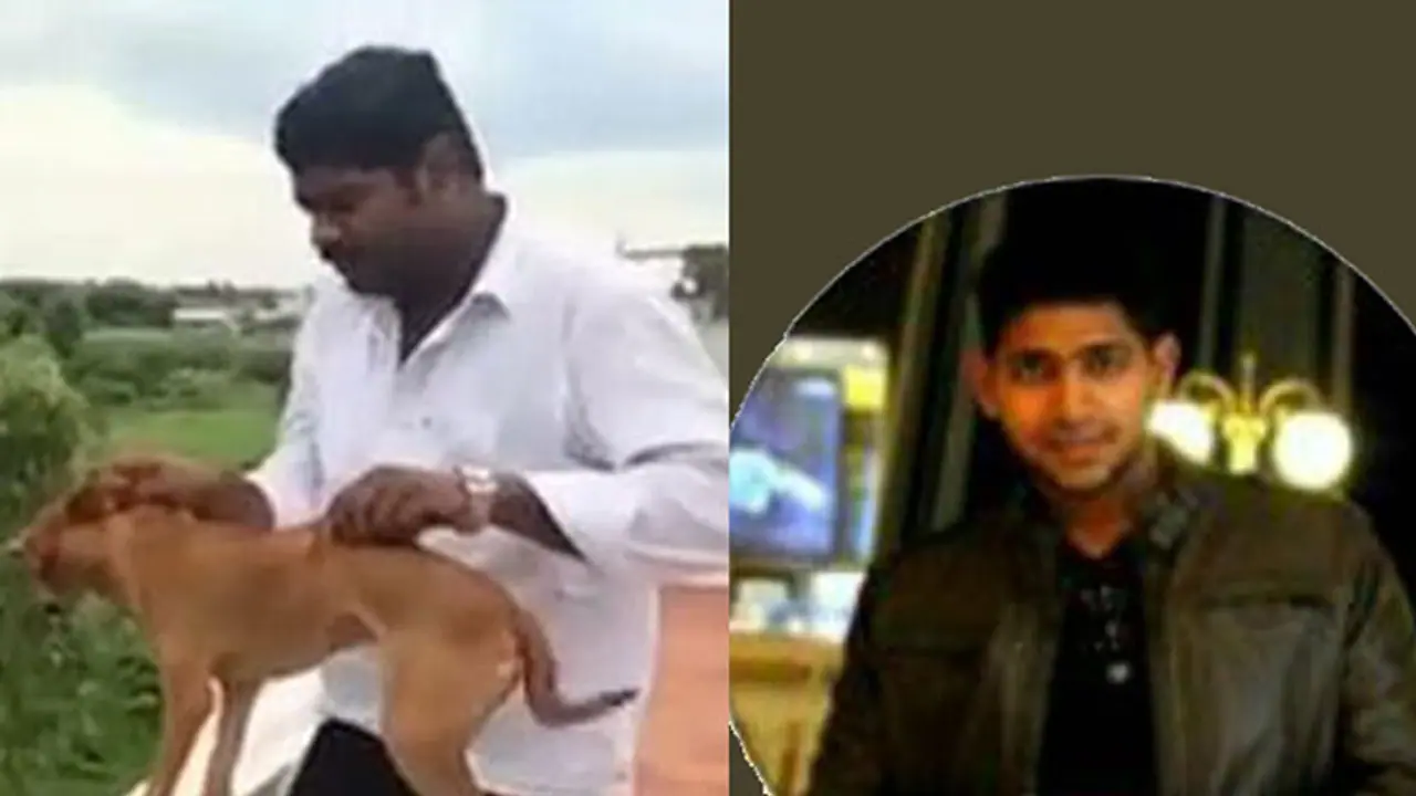 Chennai dog throwing: FIR filed against accused Chennai dog throwing: FIR filed against accused