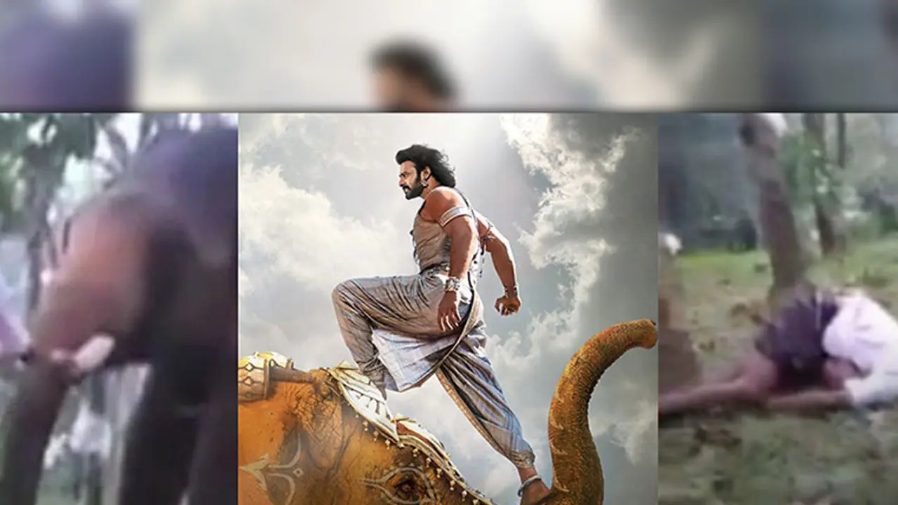 This Kerala youth's Baahubali elephant stunt on FB Live should be a lesson to all daredevils [Video]
