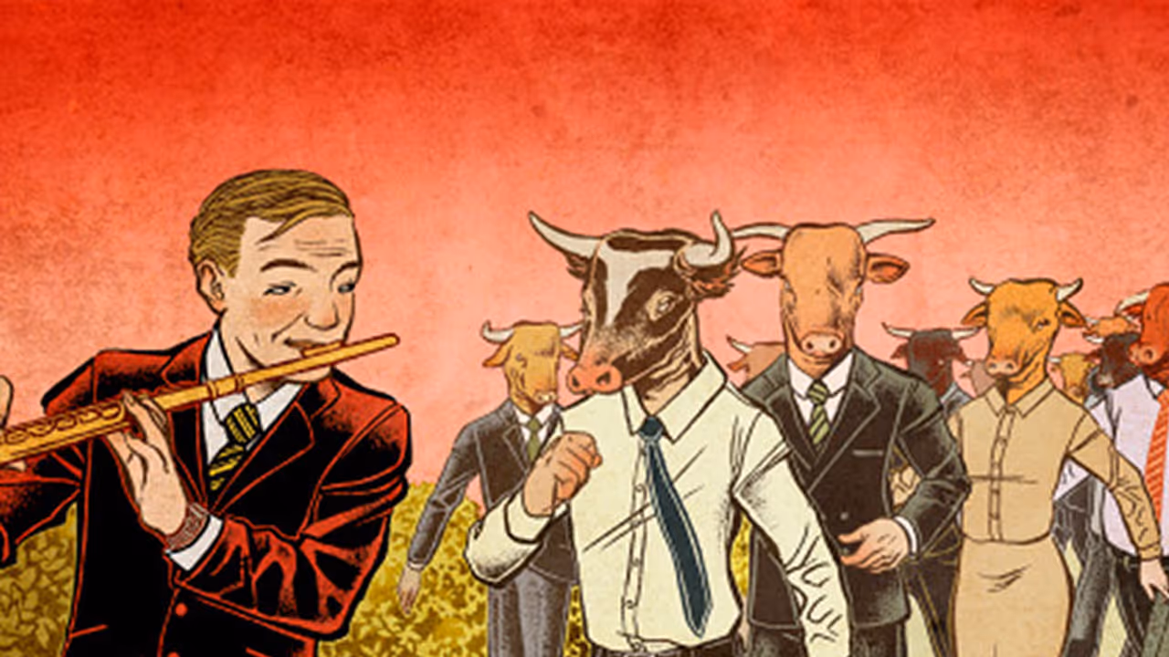 Indian markets in major bull run, Sensex up 480 points Indian markets in major bull run, Sensex up 480 points