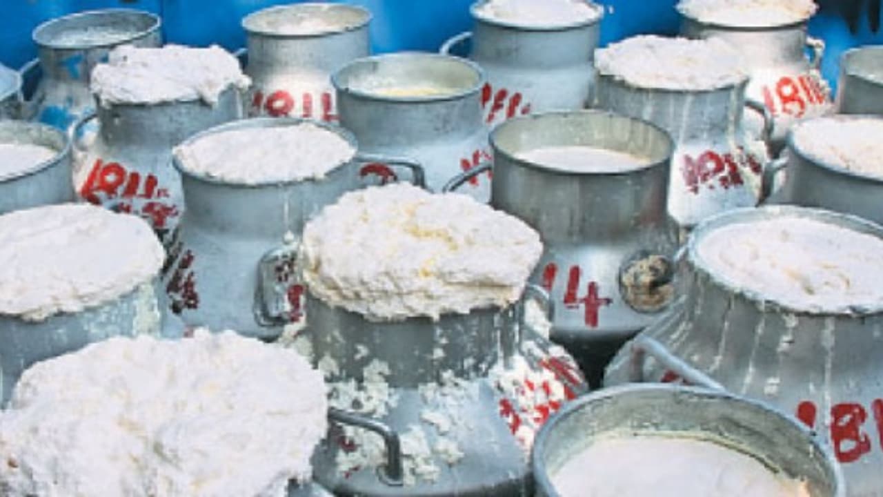 கால்நடைகளை இந்த முறைகள் மூலம் தேர்ந்த்டெடுத்து தெரிந்து கொண்டு பால் பண்ணை அமைக்கலாம்… கால்நடைகளை இந்த முறைகள் மூலம் தேர்ந்த்டெடுத்து தெரிந்து கொண்டு பால் பண்ணை அமைக்கலாம்…