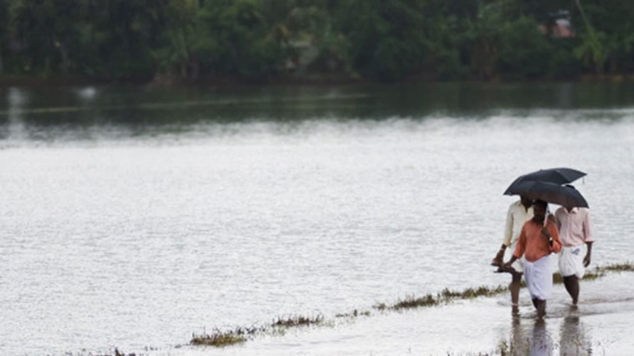 Monsoon arrives in Kerala, heavy rain lashes Idukki Monsoon arrives in Kerala, heavy rain lashes Idukki