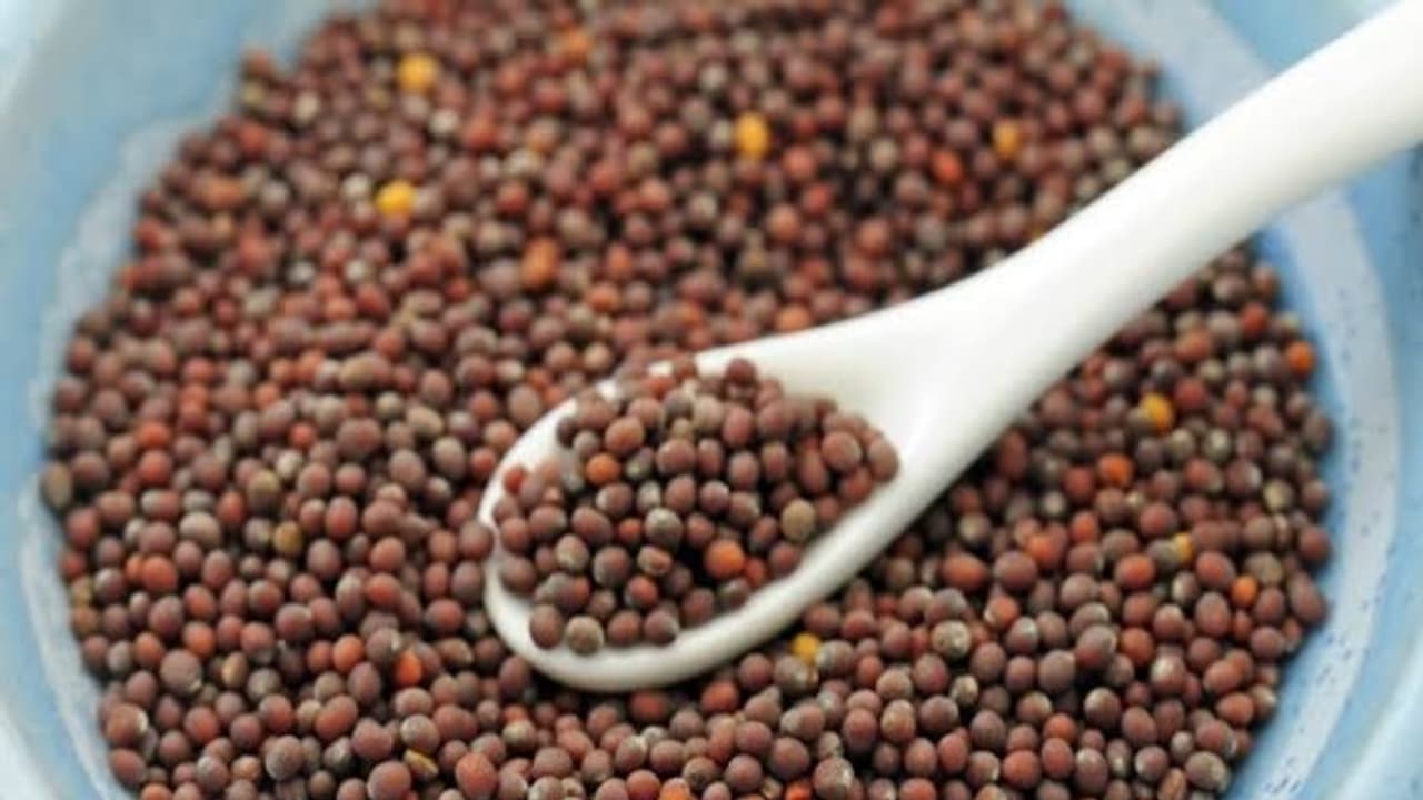 உங்களுக்குத் தெரியுமா? தேனில் கடுகை அரைத்து சாப்பிட்டால் ஆஸ்துமா நீங்கும்… உங்களுக்குத் தெரியுமா? தேனில் கடுகை அரைத்து சாப்பிட்டால் ஆஸ்துமா நீங்கும்…