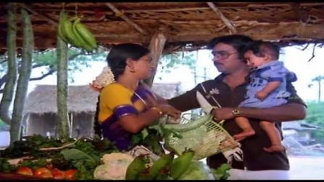 பாக்யராஜ் படத்தில் மட்டும்தான் முருங்கைக்காய்... முருங்கைகீரையும் முக்கியமா? பாக்யராஜ் படத்தில் மட்டும்தான் முருங்கைக்காய்... முருங்கைகீரையும் முக்கியமா?