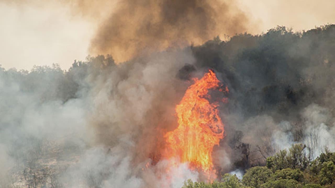 ಕಾಡಿಗೆ ಬೆಂಕಿ ಬಿದ್ದ ಕ್ಷಣದಲ್ಲೇ ಉಪಗ್ರಹದಿಂದ ಸಂದೇಶ! ಕಾಡಿಗೆ ಬೆಂಕಿ ಬಿದ್ದ ಕ್ಷಣದಲ್ಲೇ ಉಪಗ್ರಹದಿಂದ ಸಂದೇಶ!