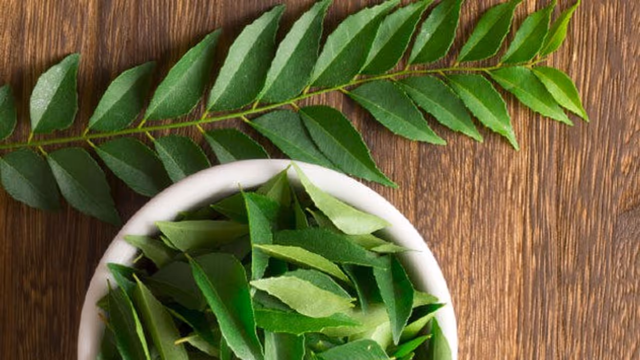 கறிவேப்பிலையை இப்படி பயன்படுத்தினால் முடி கொட்டுதல் வெகுவாக குறையும்... கறிவேப்பிலையை இப்படி பயன்படுத்தினால் முடி கொட்டுதல் வெகுவாக குறையும்...