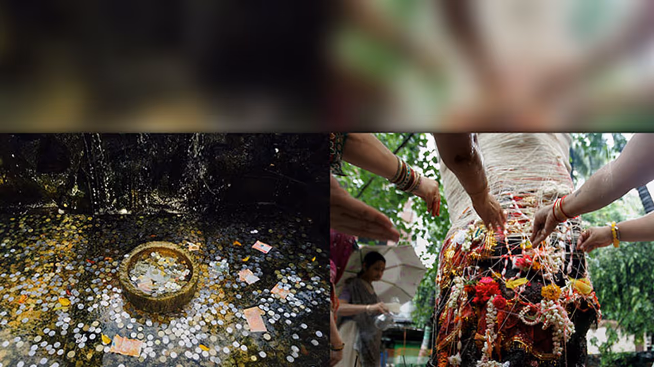 Shocking: This is what happens when you throw coins for good luck Shocking: This is what happens when you throw coins for good luck