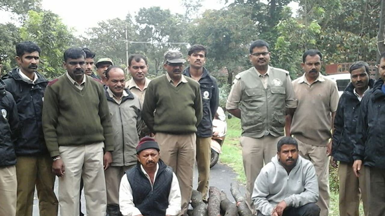 ಶ್ರೀಗಂಧ ಚೋರರನ್ನು ಹಿಡಿಯಲು ಸಿಸಿಟಿವಿ ವಿಡಿಯೋ ಕೊಟ್ಟ ಮಡಿಕೇರಿ ಕುಟುಂಬಕ್ಕೆ ಈಗ ಪ್ರಾಣಭೀತಿ..! ಶ್ರೀಗಂಧ ಚೋರರನ್ನು ಹಿಡಿಯಲು ಸಿಸಿಟಿವಿ ವಿಡಿಯೋ ಕೊಟ್ಟ ಮಡಿಕೇರಿ ಕುಟುಂಬಕ್ಕೆ ಈಗ ಪ್ರಾಣಭೀತಿ..!
