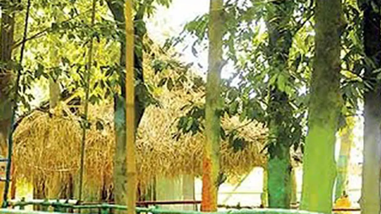 Woman alleges rape attempt at Kalabhavan Mani's Chalakudy outhouse Woman alleges rape attempt at Kalabhavan Mani's Chalakudy outhouse