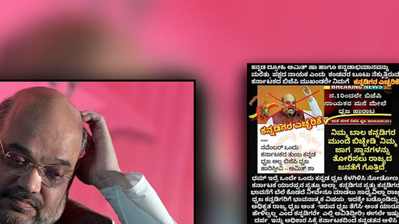 Did Amit Shah really ask BJP workers to lower Karnataka flag and hoist only party flag?