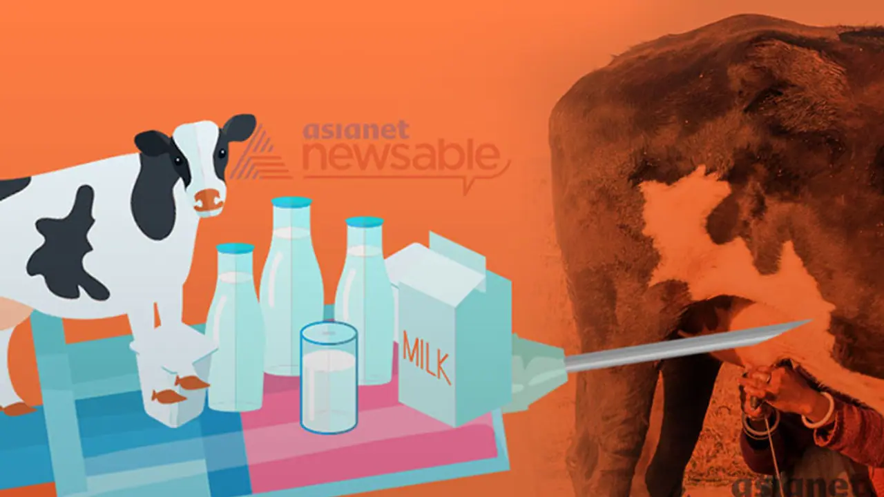 Your milk could be contaminated with Oxytocin, a drug meant for women! Your milk could be contaminated with Oxytocin, a drug meant for women!