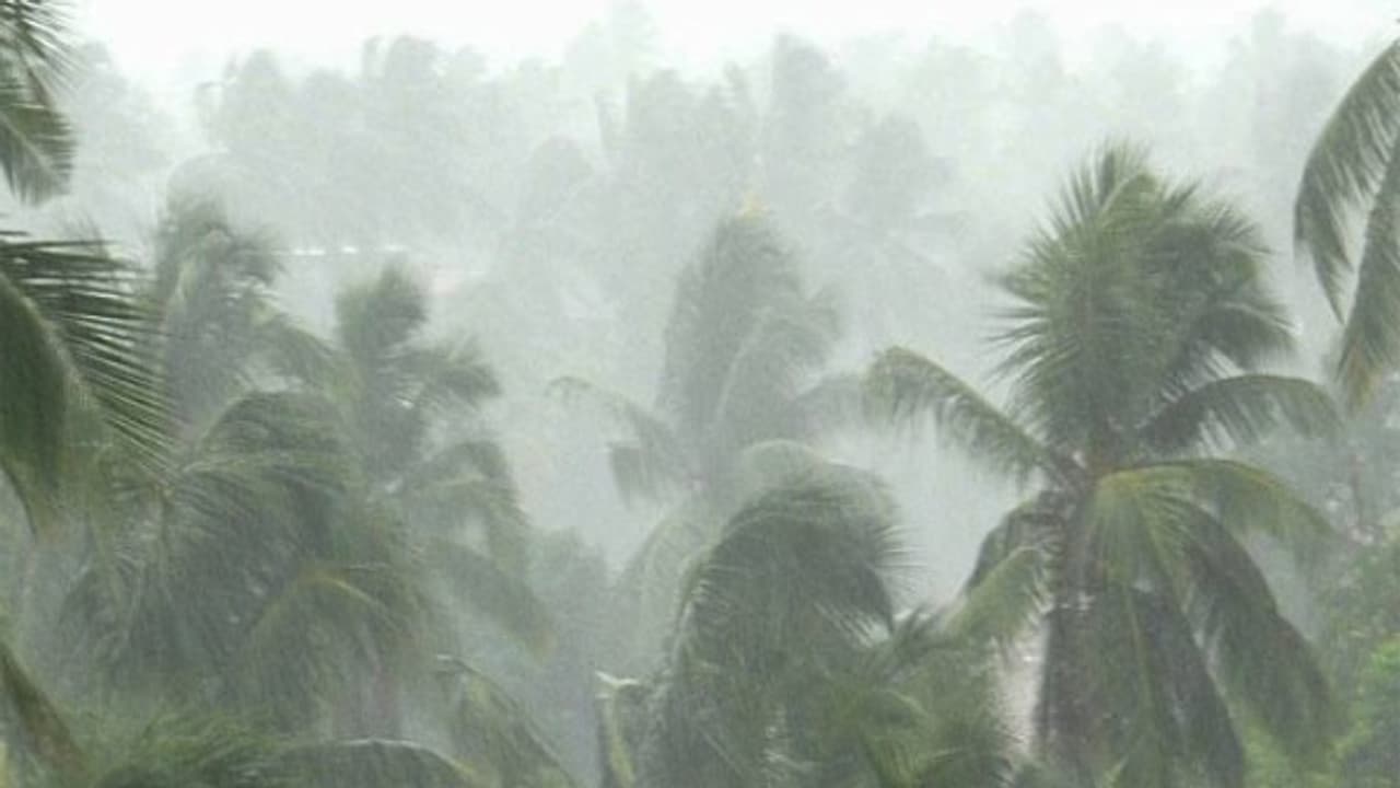 சூறாவளிக் காற்றுடன் கொடைக்கானலில் பலத்த மழை... இரவு வரை மழை நீடிப்பு... சுற்றுலாப் பயணிகள் அவதி... சூறாவளிக் காற்றுடன் கொடைக்கானலில் பலத்த மழை... இரவு வரை மழை நீடிப்பு... சுற்றுலாப் பயணிகள் அவதி...