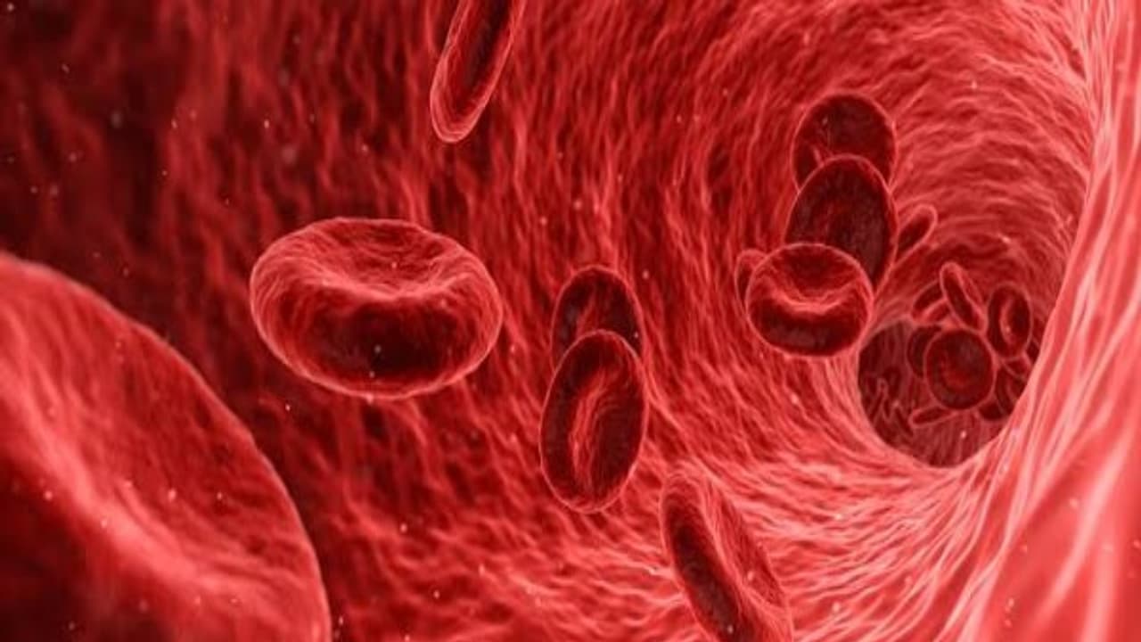 உங்களுக்குத் தெரியுமா? இரும்புச்சத்து அதிகமாக இருந்தால் சிவப்பணுக்களின் எண்ணிக்கையும் அதிகமாக இருக்கும்... உங்களுக்குத் தெரியுமா? இரும்புச்சத்து அதிகமாக இருந்தால் சிவப்பணுக்களின் எண்ணிக்கையும் அதிகமாக இருக்கும்...