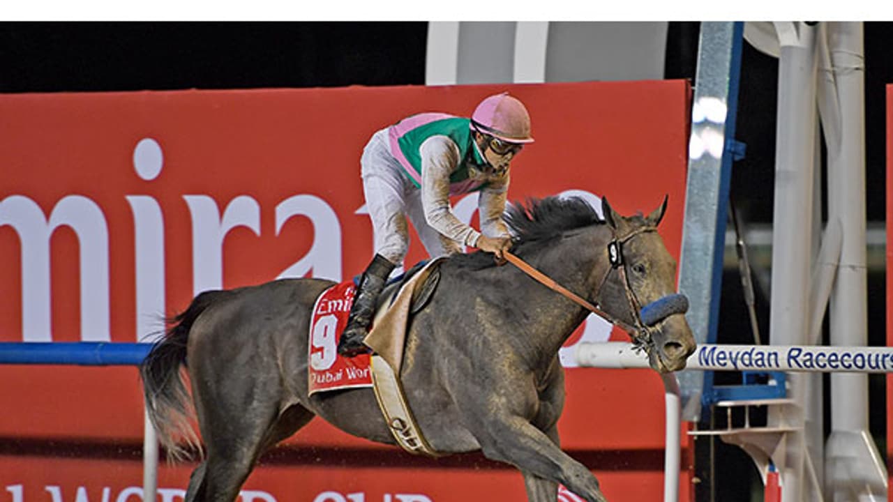 ദുബായ് വേള്ഡ് കപ്പ്: അരോഗേറ്റിന് കിരീടം ദുബായ് വേള്ഡ് കപ്പ്: അരോഗേറ്റിന് കിരീടം