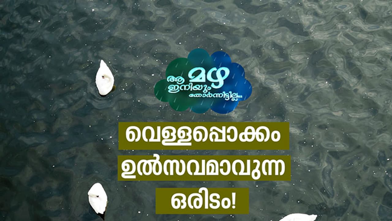 പാലാക്കാര്ക്ക് മഴ മറ്റ് ചിലതാണ്! പാലാക്കാര്ക്ക് മഴ മറ്റ് ചിലതാണ്!