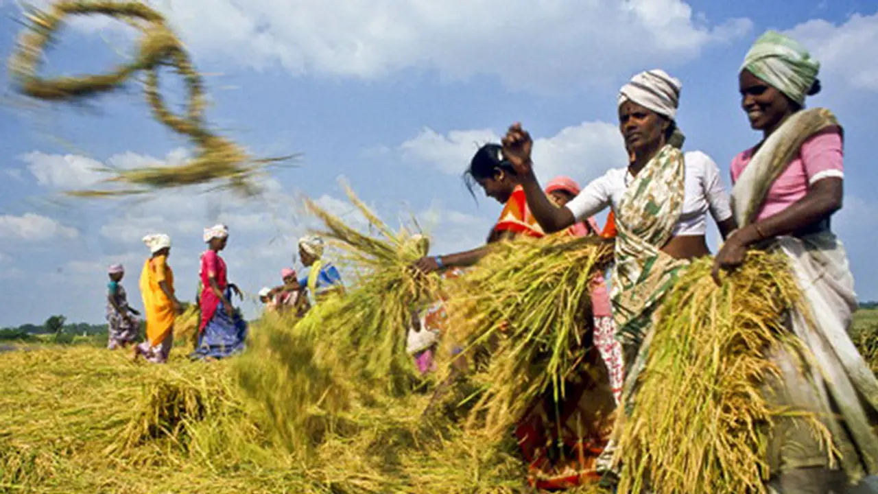 Siddaramaiah's 'Bhagyas': Boon to the corrupt, bane to beneficiaries Siddaramaiah's 'Bhagyas': Boon to the corrupt, bane to beneficiaries