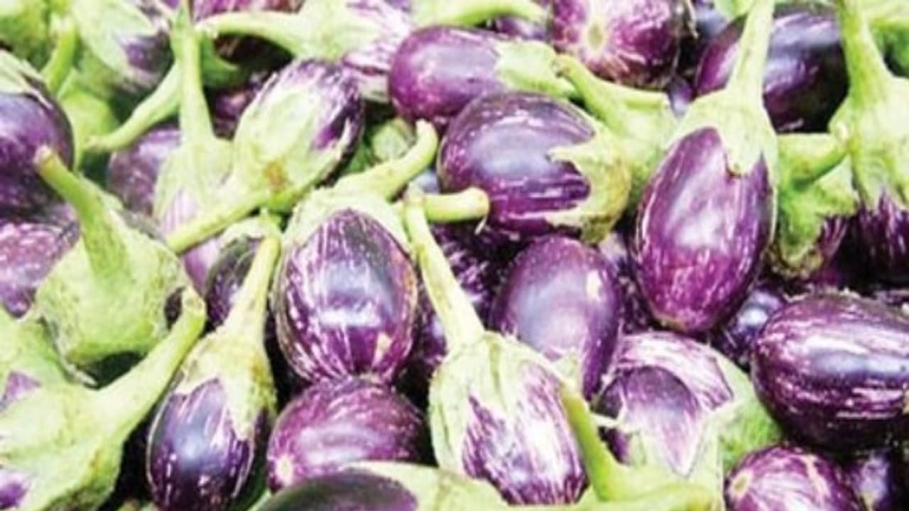 கத்தரி சாகுபடியில் அதிக லாபத்தை பெற இதை செய்தாலே போதும்... கத்தரி சாகுபடியில் அதிக லாபத்தை பெற இதை செய்தாலே போதும்...