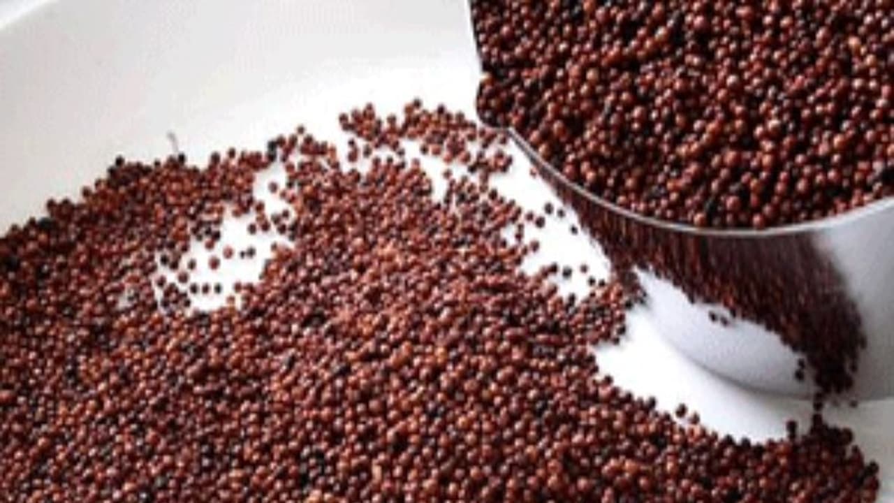 உங்களுக்குத் தெரியுமா? உயர் ரத்த அழுத்தத்தை குறைக்கும் சக்தி கேழ்வரகுக்கு உண்டு... உங்களுக்குத் தெரியுமா? உயர் ரத்த அழுத்தத்தை குறைக்கும் சக்தி கேழ்வரகுக்கு உண்டு...