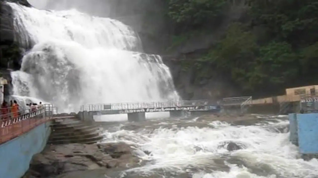 மிதமான நீர்வரத்து.. ரம்மியமான சூழல்.. குற்றாலத்தில் குதூகலிக்கும் சுற்றுலாப் பயணிகள்!!