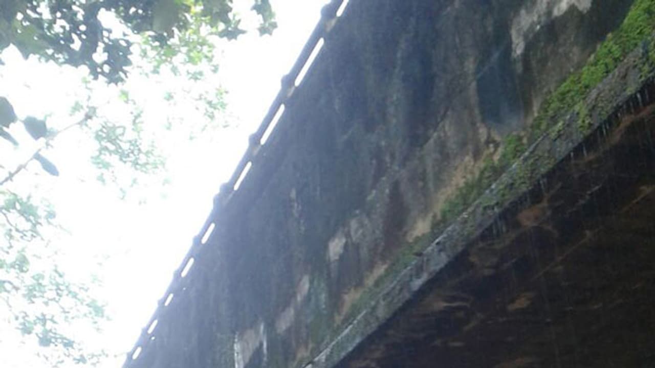 അറ്റകുറ്റപ്പണികള് നടത്തിയില്ല; കനാല് അക്വഡേറ്റ് പാലങ്ങള് ചോര്ന്നൊലിക്കുന്നു അറ്റകുറ്റപ്പണികള് നടത്തിയില്ല; കനാല് അക്വഡേറ്റ് പാലങ്ങള് ചോര്ന്നൊലിക്കുന്നു