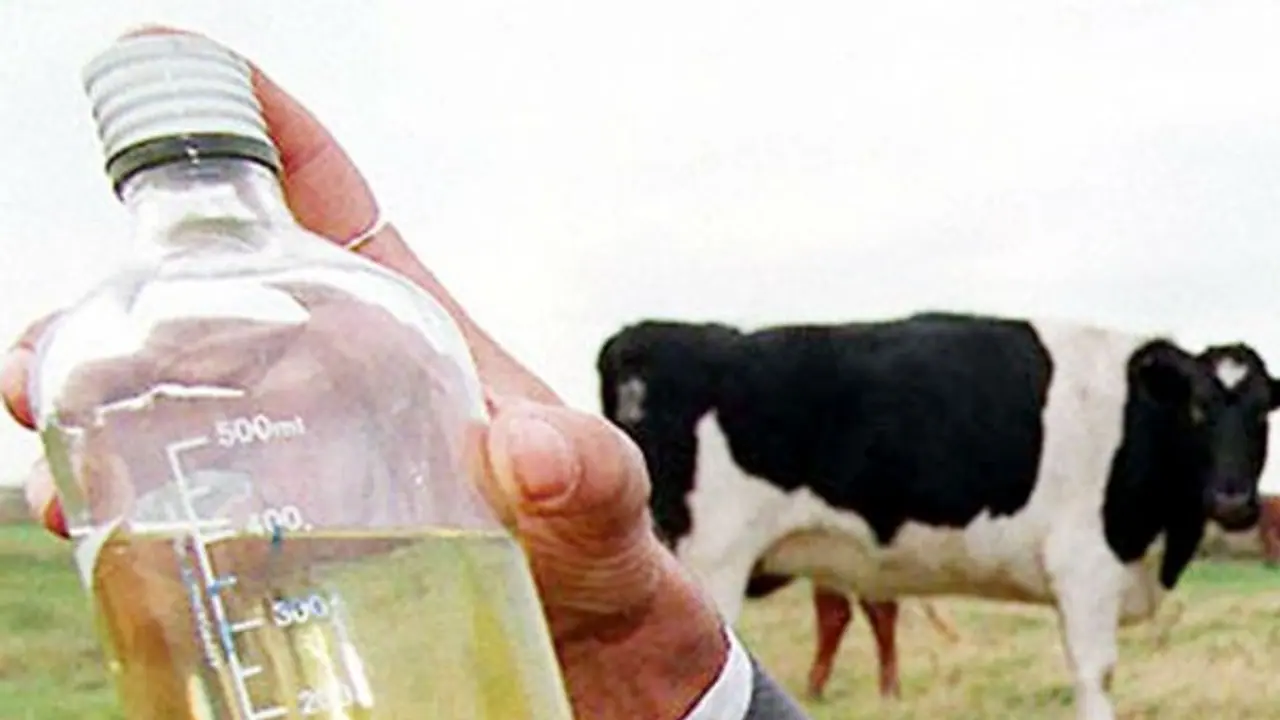 বিচিত্র দেশ, চন্দ্রাভিযানের সঙ্গেই চলছে গোমূত্র চর্চা, ফের দায়িত্বজ্ঞানহীন মন্তব্য স্বাস্থ্যমন্ত্রীর বিচিত্র দেশ, চন্দ্রাভিযানের সঙ্গেই চলছে গোমূত্র চর্চা, ফের দায়িত্বজ্ঞানহীন মন্তব্য স্বাস্থ্যমন্ত্রীর