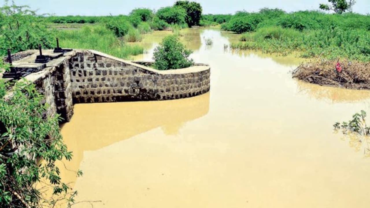 இரண்டு வருடங்களுக்குப் பிறகு விருதுநகரில் நல்ல மழை; நீர்வரத்து அதிகரித்ததால் விவசாய பணிகள் தீவிரம்… இரண்டு வருடங்களுக்குப் பிறகு விருதுநகரில் நல்ல மழை; நீர்வரத்து அதிகரித்ததால் விவசாய பணிகள் தீவிரம்…