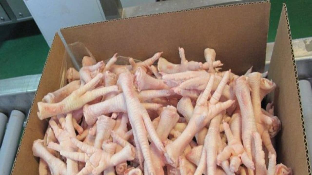 உஷார்...! இந்தியா வரும் "அமெரிக்க லெக் பீஸ்"..! நோயும் அதிகமாக போகுது... உஷார்...! இந்தியா வரும் "அமெரிக்க லெக் பீஸ்"..! நோயும் அதிகமாக போகுது...