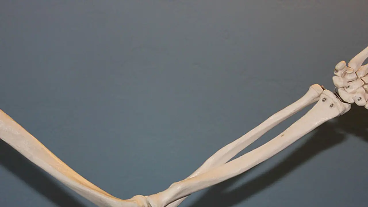 Here's how you maintain healthy bones as you get older Here's how you maintain healthy bones as you get older