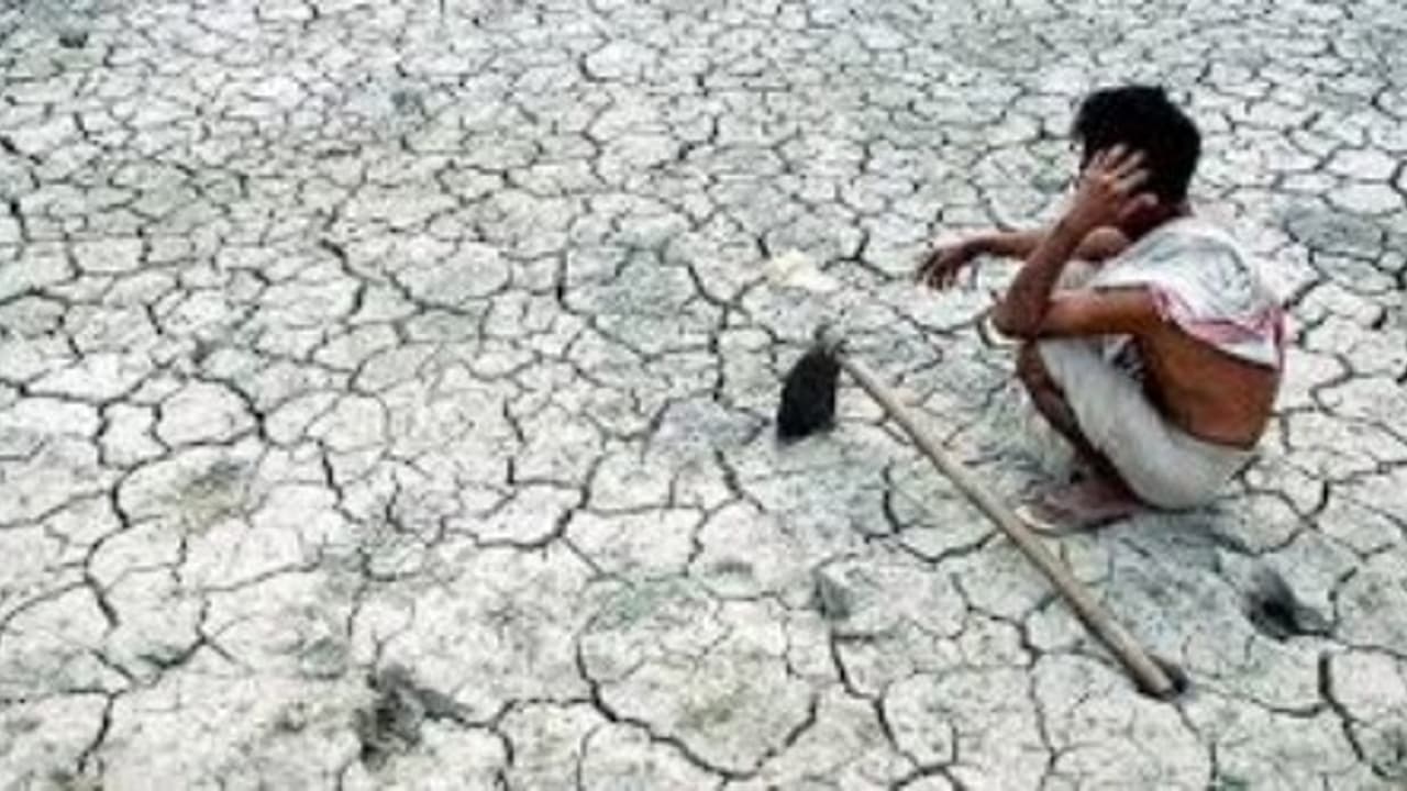 யானைப் பசிக்கு சோளப்பொரி…வறட்சியால் பாதிக்கப்பட்ட விவசாயிகளுக்கு வெறும் 487 கோடி மட்டும் தான் … யானைப் பசிக்கு சோளப்பொரி…வறட்சியால் பாதிக்கப்பட்ட விவசாயிகளுக்கு வெறும் 487 கோடி மட்டும் தான் …