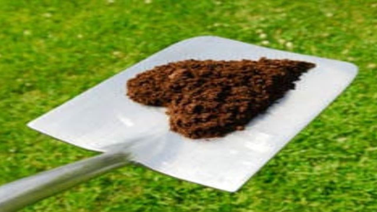 சீரான வளர்ச்சி, தரமான விளைச்சல் தரும் இயற்கை உரம்.. சீரான வளர்ச்சி, தரமான விளைச்சல் தரும் இயற்கை உரம்..