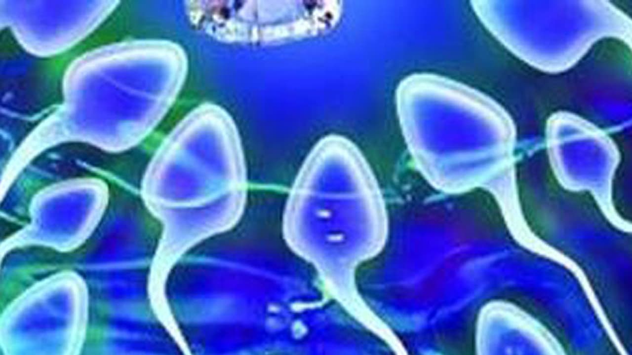 ತಮಾಷೆ ಅಲ್ಲ... ಚೀನಾದಲ್ಲಿ ಕಮ್ಯುನಿಸ್ಟ್ ನಿಷ್ಠರಿಗೆ ಮಾತ್ರ ವೀರ್ಯದಾನ ಚಾನ್ಸ್ ತಮಾಷೆ ಅಲ್ಲ... ಚೀನಾದಲ್ಲಿ ಕಮ್ಯುನಿಸ್ಟ್ ನಿಷ್ಠರಿಗೆ ಮಾತ್ರ ವೀರ್ಯದಾನ ಚಾನ್ಸ್