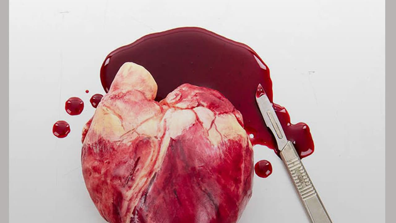 Would you like to bite into these? Would you like to bite into these?